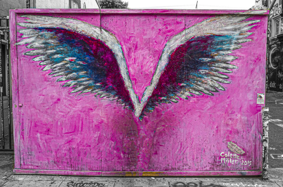 Angel Wings by Colette Miller